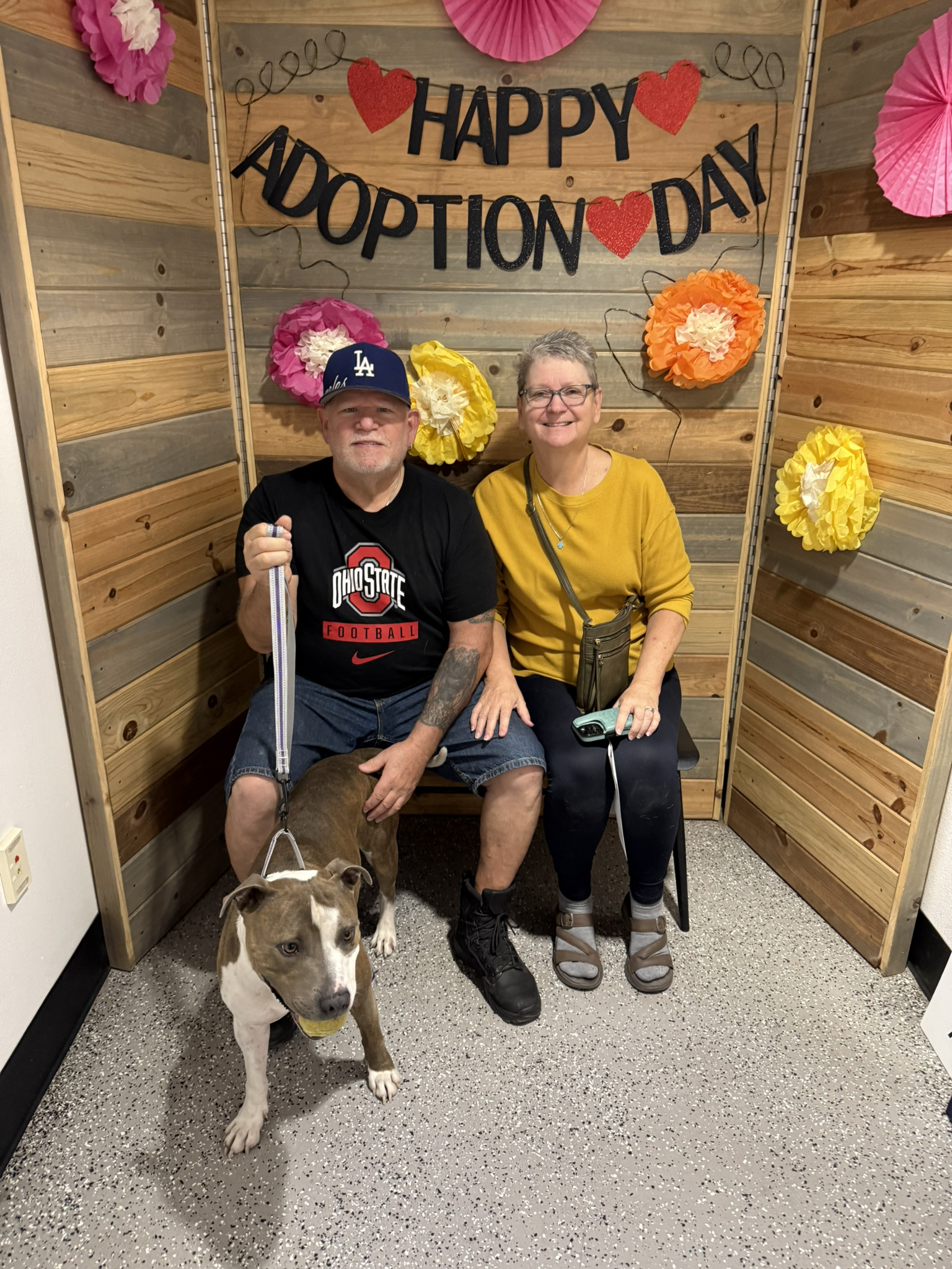 City of... - City of Henderson Animal Protection Services