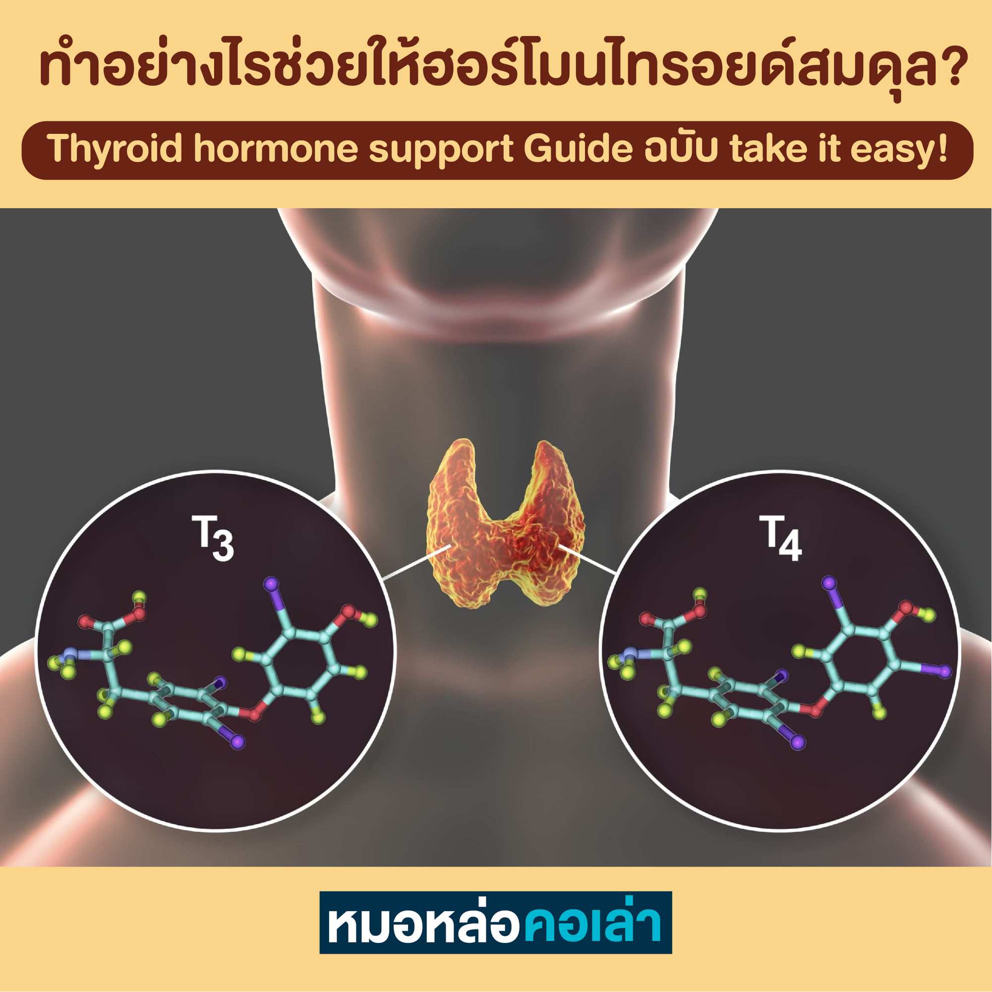 หมอหล่อคอเล่า - #ดูแลสมดุลฮอร์โมนไทรอยด์อย่างไรให้สุขภาพดี ? ฮอร์โมน ...
