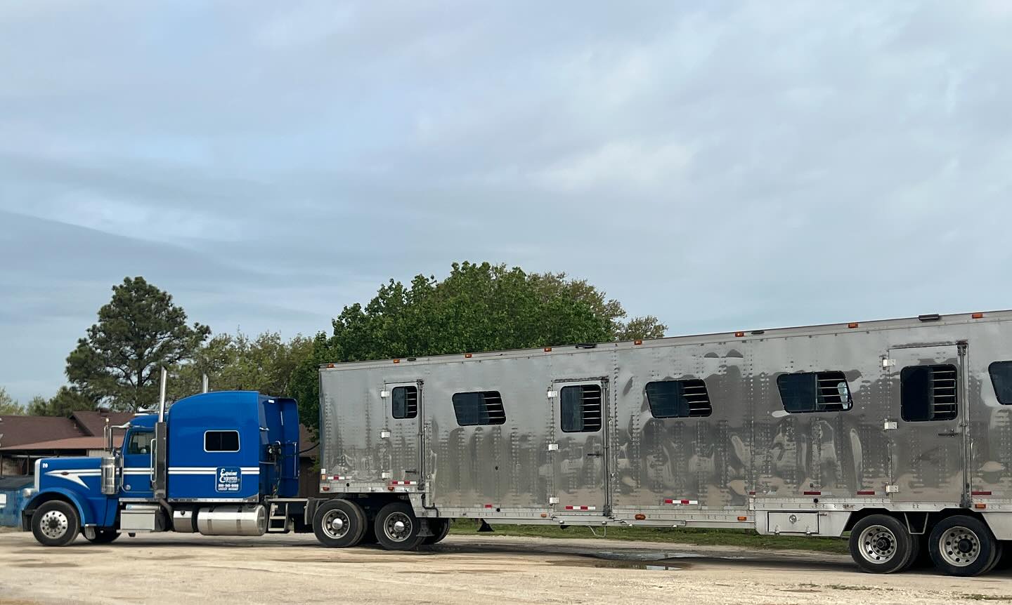 Equine Express,NA INC