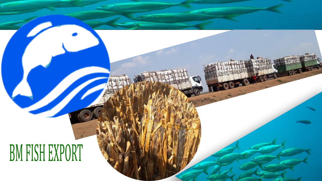 Africa Agribusiness Academy -Ethiopia | Facebook