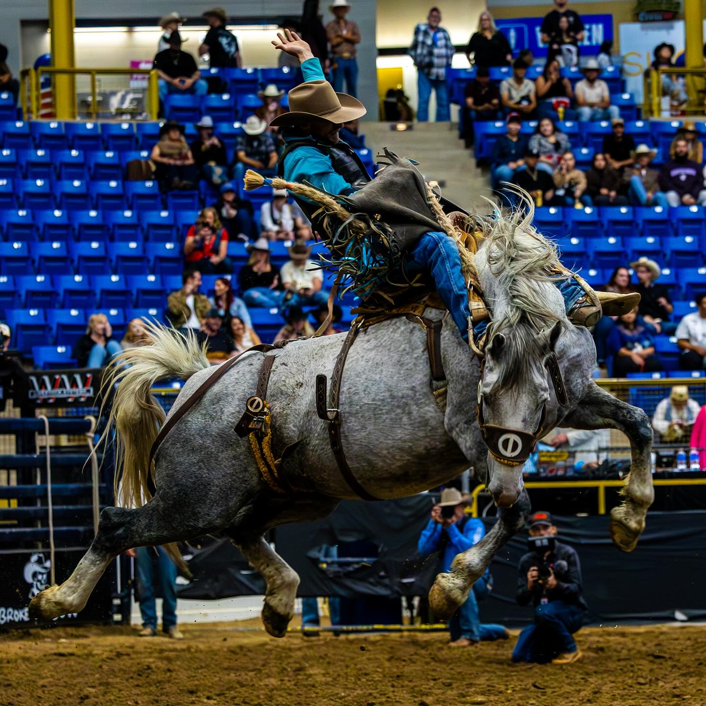 Jacob Edler Professional Steer Wrestler
