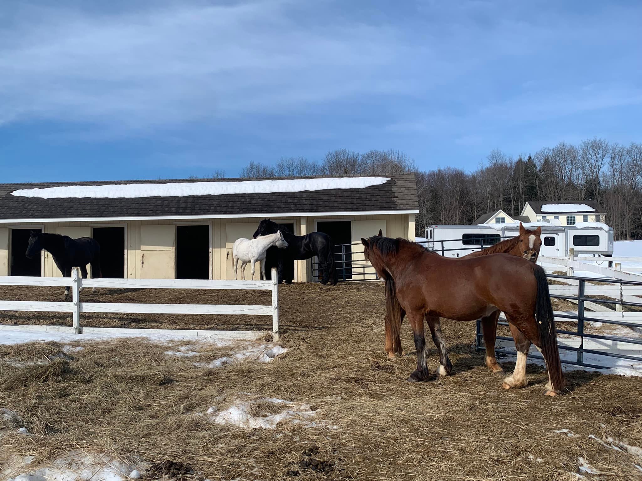 Baker School of Riding | Phoenix NY