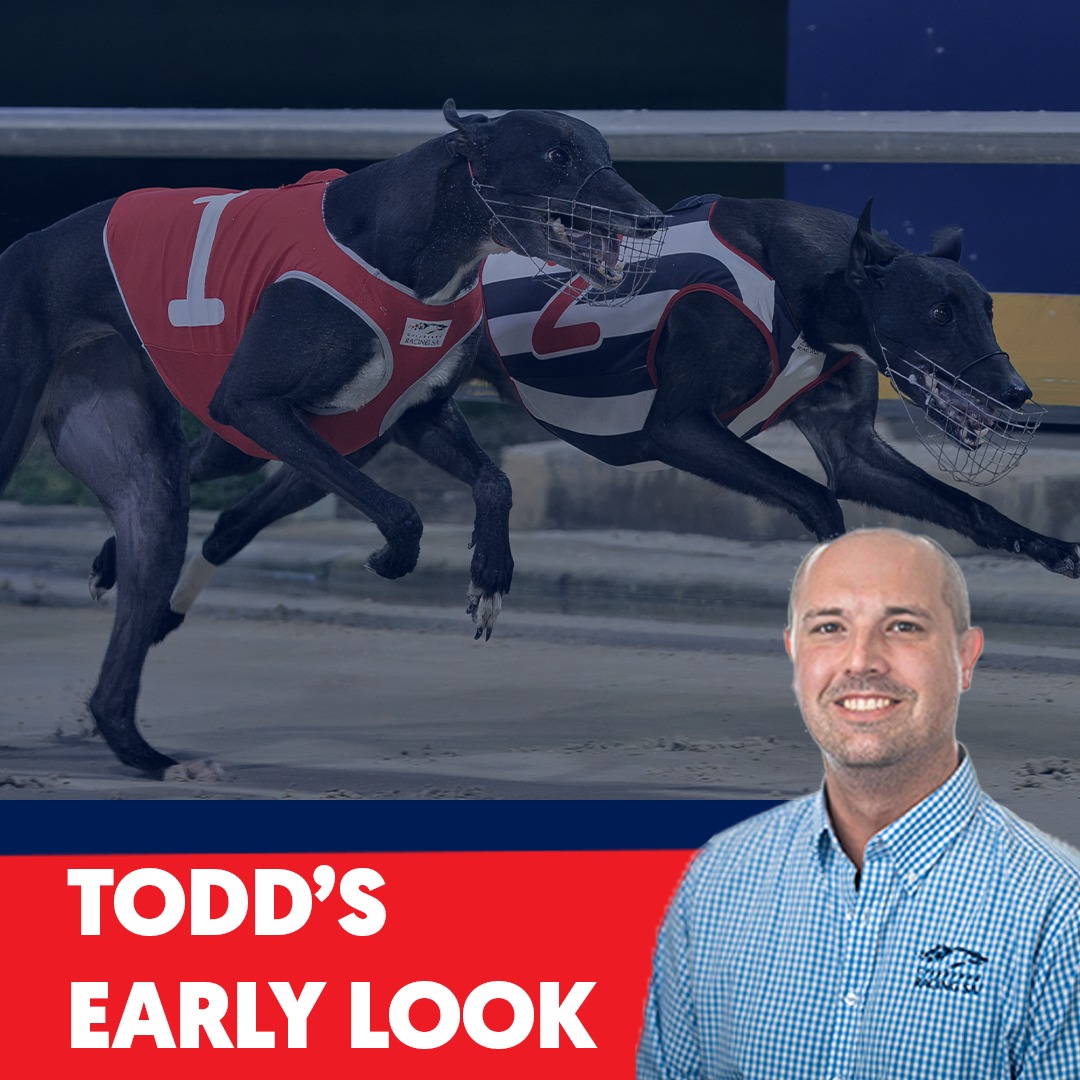 The Spring Carnival... - Greyhound Racing South Australia | Facebook