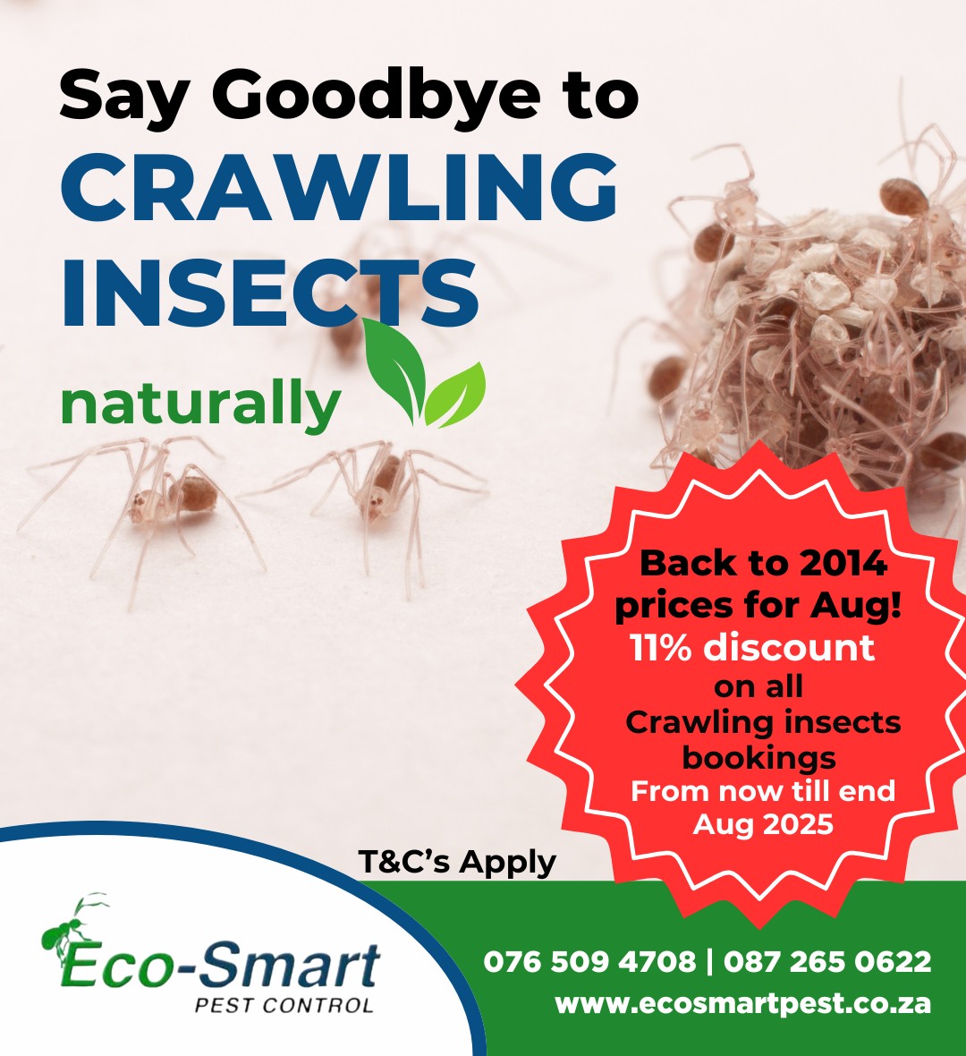 Our East Rand branch is 11 years... - Eco-Smart Pest Control | Facebook