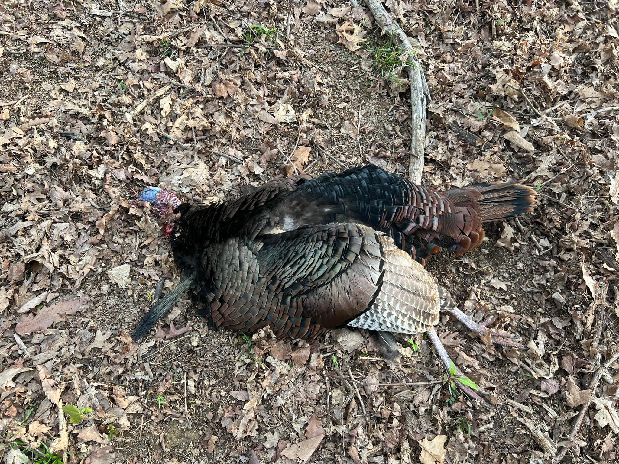 Riley Hunting Lodge