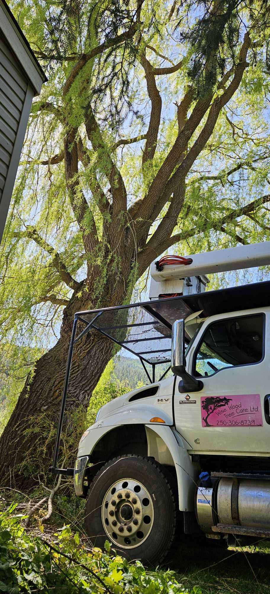 Wise Wood Tree Care Ltd. | Lumby BC