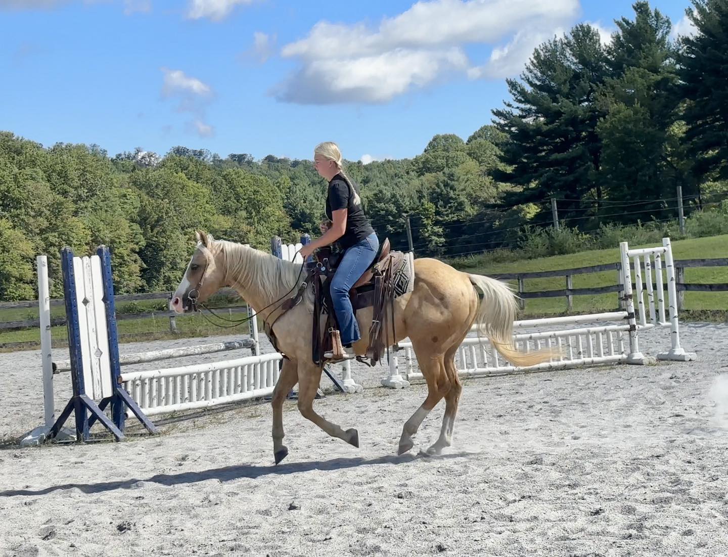 Triple R Horses - Triple R Horses added a new photo.