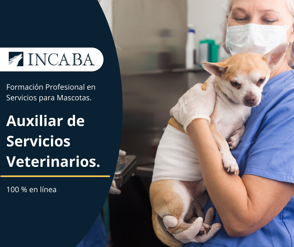 📢📢📢 Atención,... - Incaba Servicios Profesionales