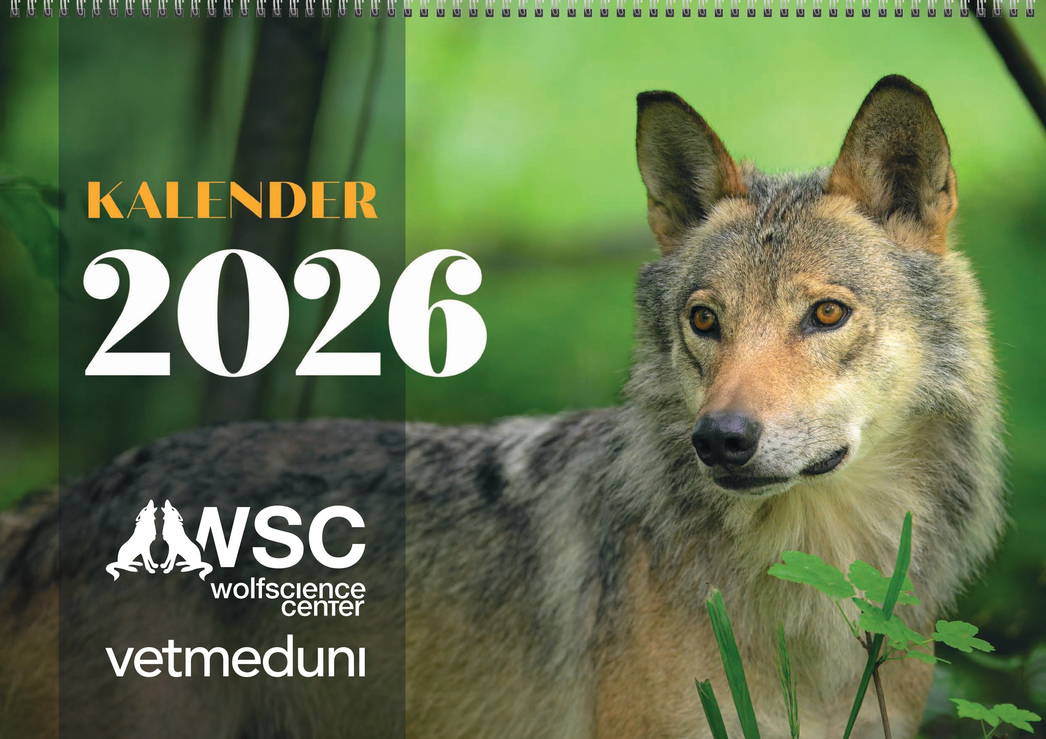 Wolf Science Center... - Wolf Science Center Österreich