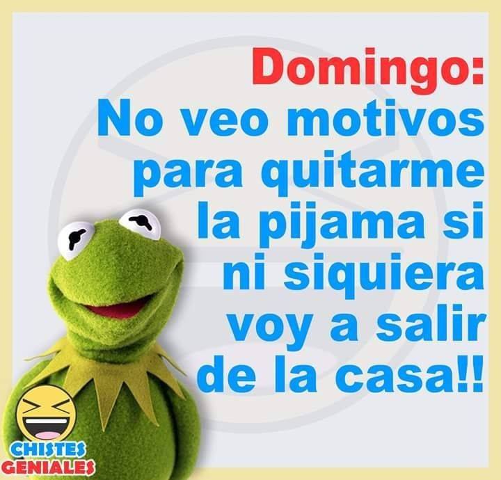 Frases de la Rana Rene Chistes y mas