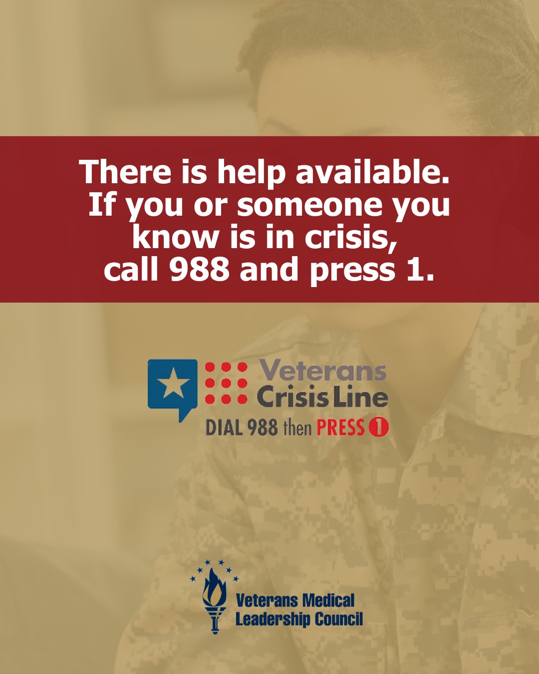 Veterans Medical Leadership Council