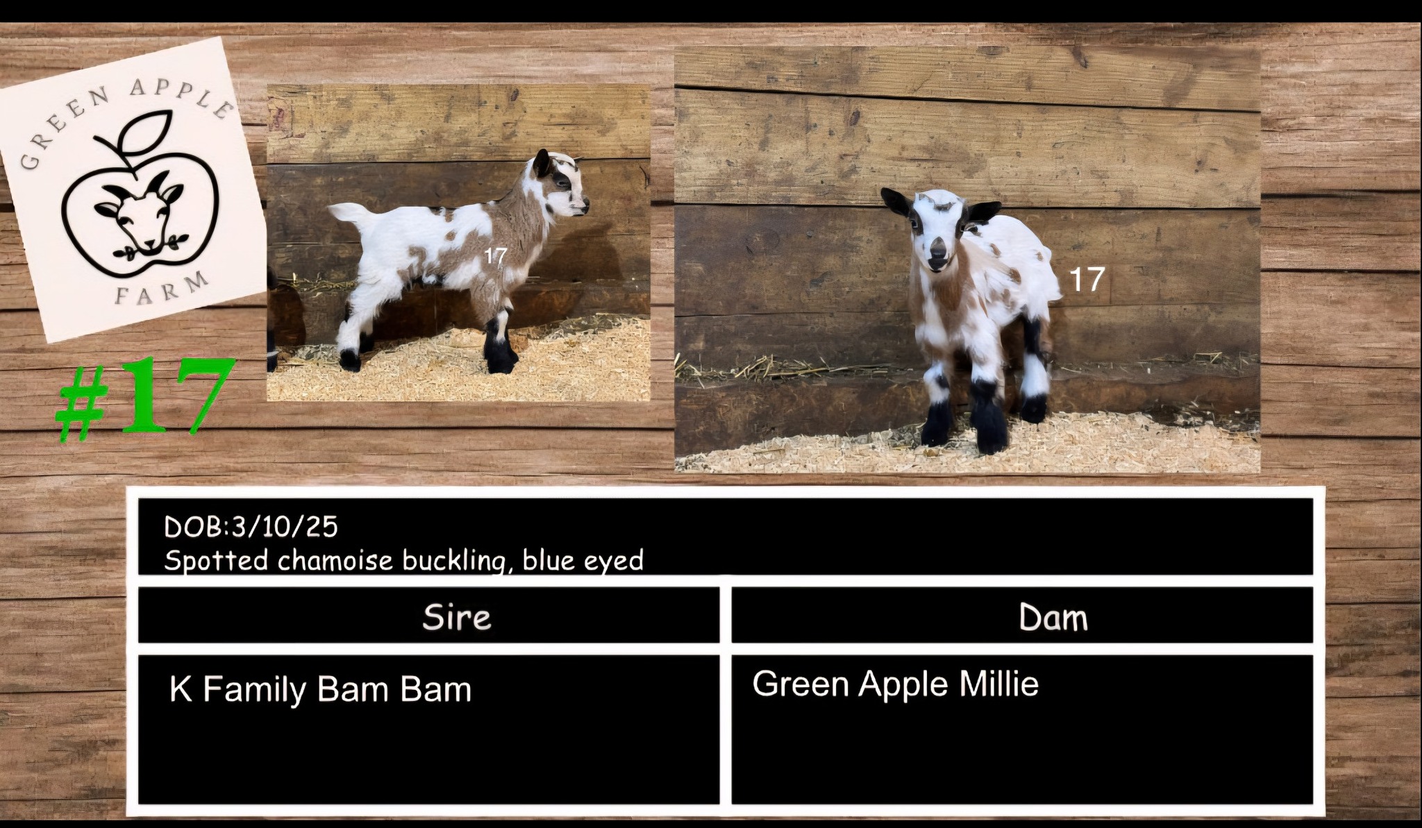 Green Apple Farm