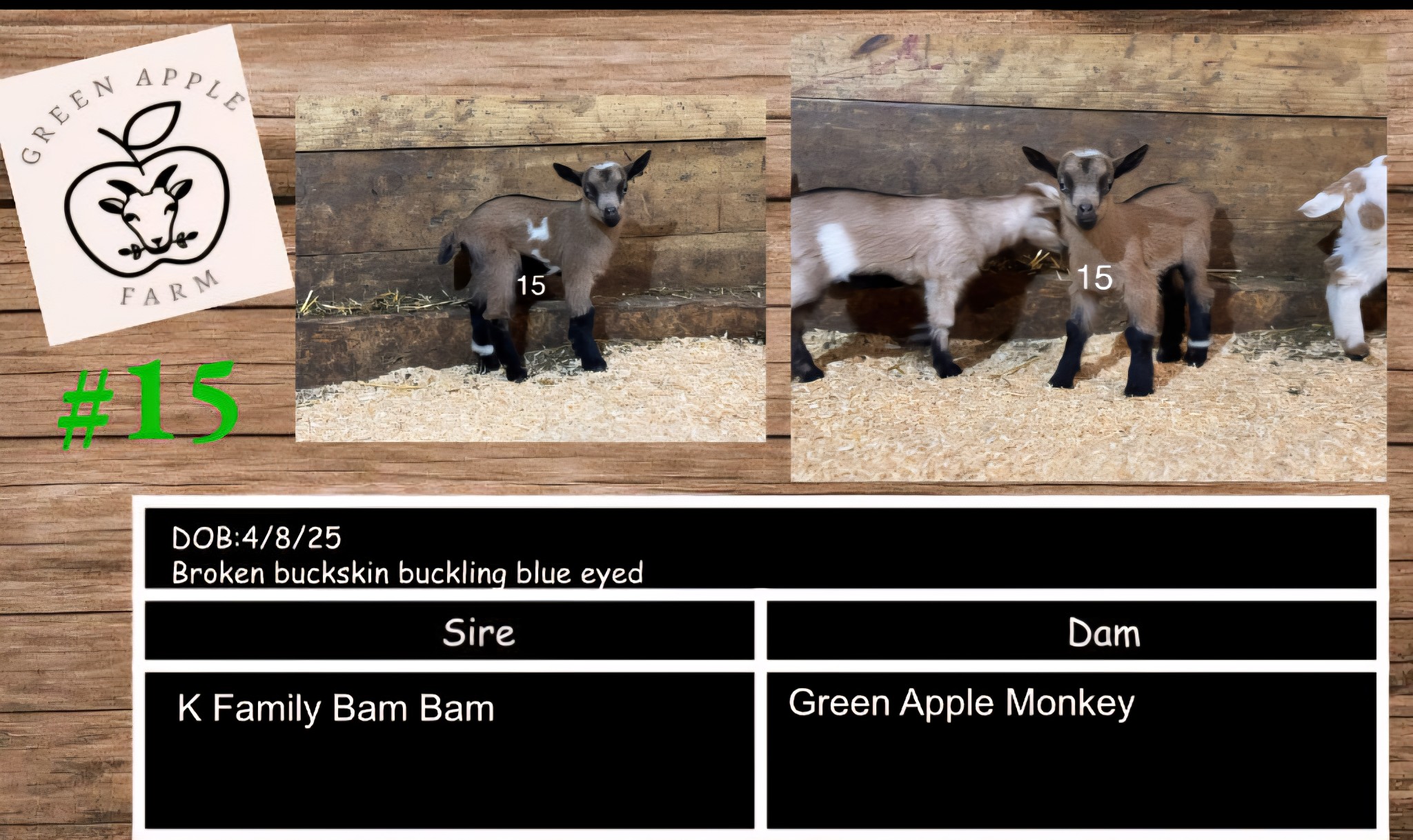 Green Apple Farm