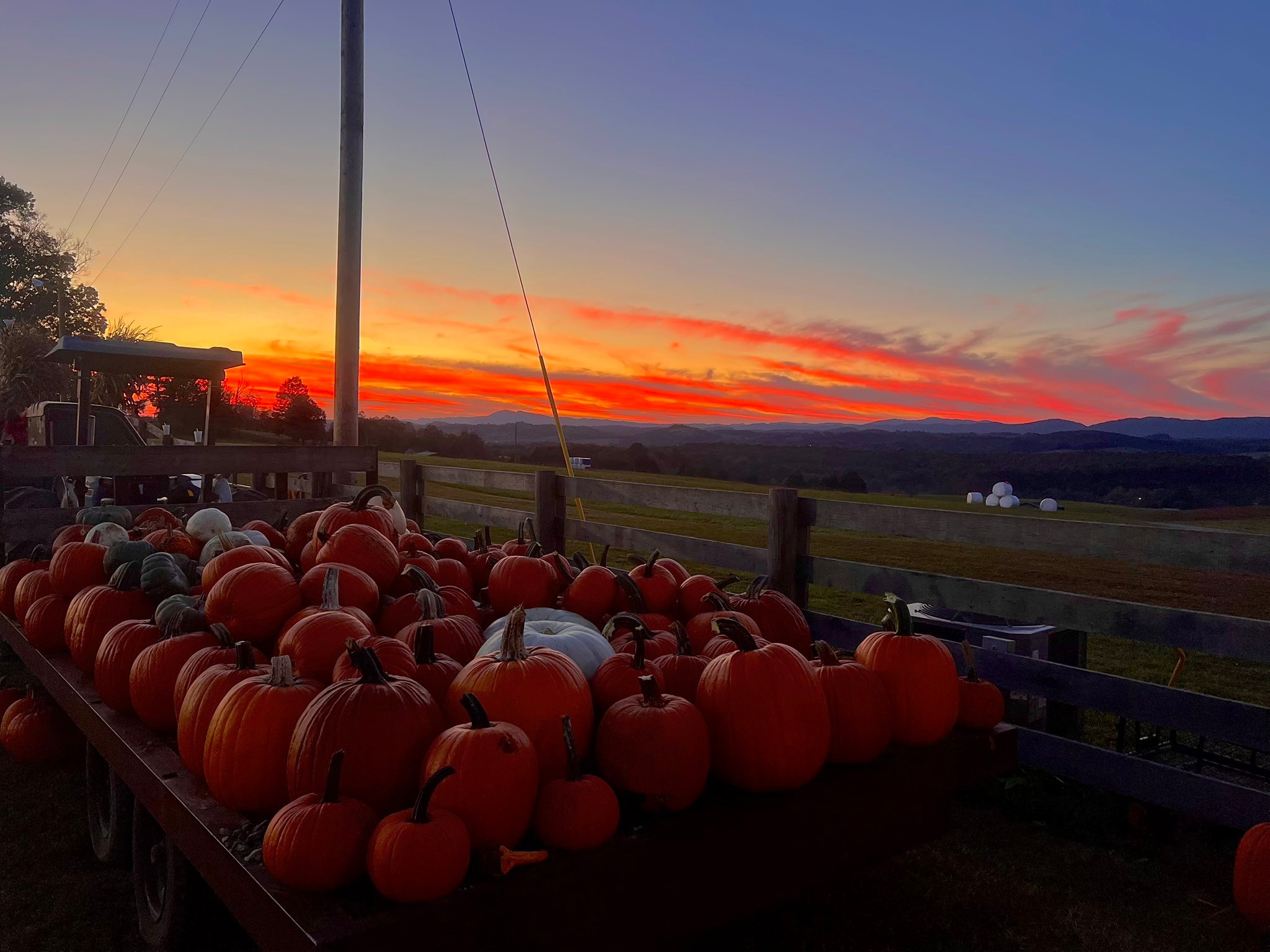 Arrow B Ranch, LLC | Jonesville VA