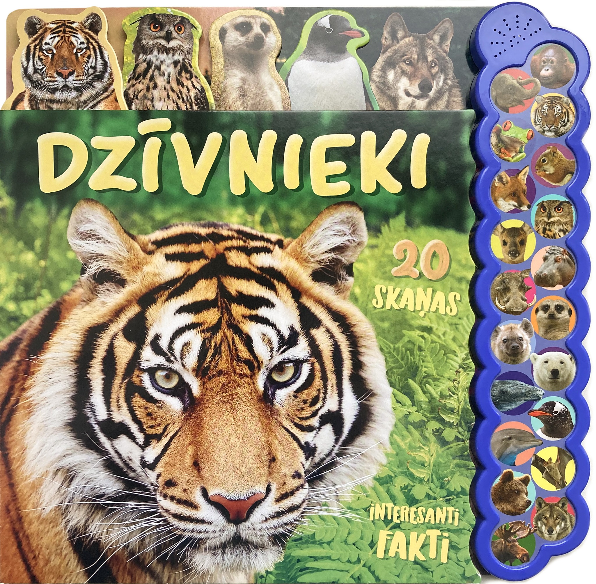 Zvaigzne - JAUNUMS Kā sauc varžu mazuļus? Kāpēc kārpainās mežacūkas ...