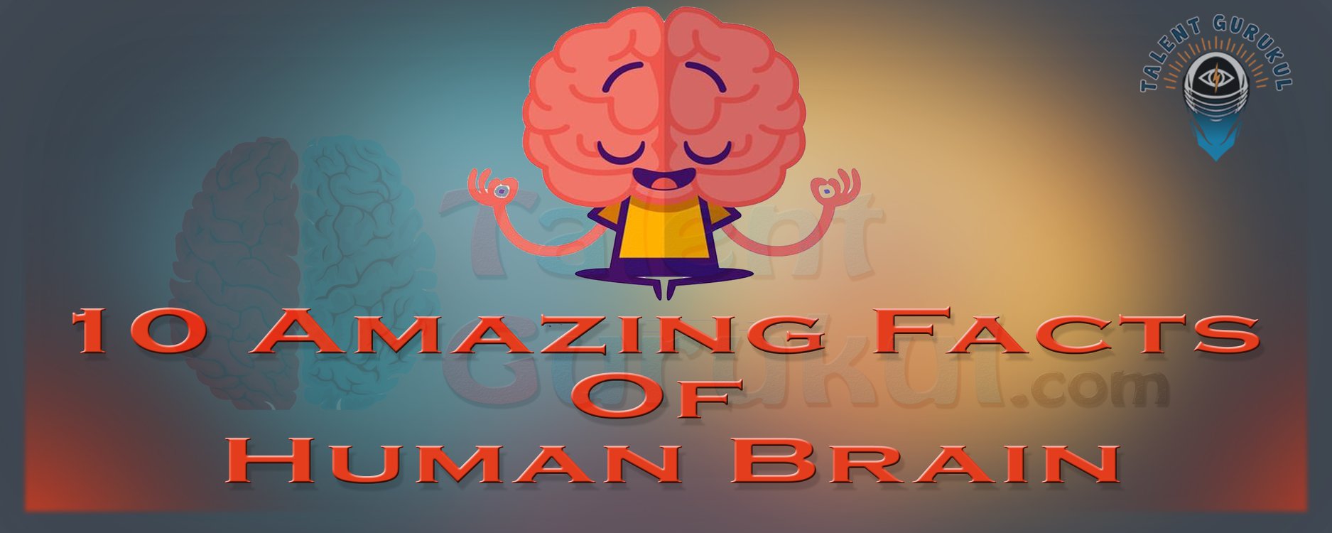 TG - Talent Gurukul - 10 FUN FACTS ABOUT HUMAN BRAIN🧠 ! The brain is a ...