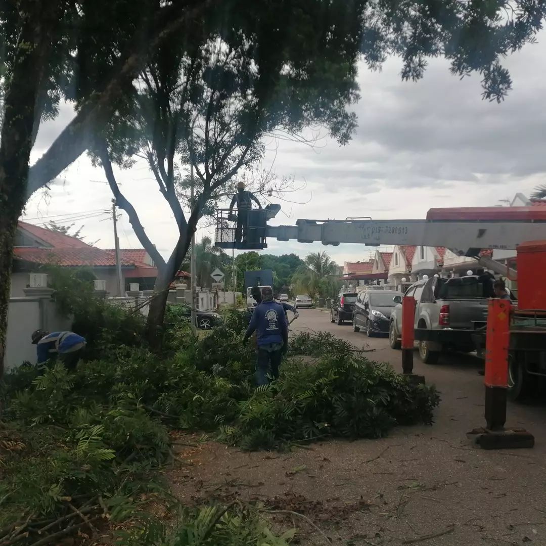 Perkhidmatan Mencantas & Tebang Pokok daerah Johor Bahru
