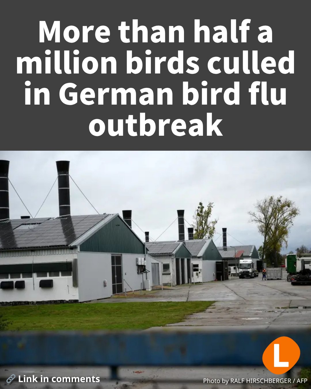 More than half a million birds culled... - The Local Germany | Facebook