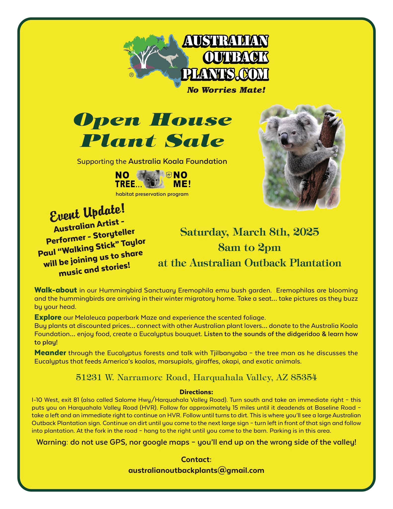 Australian Outback plants | Tonopah AZ