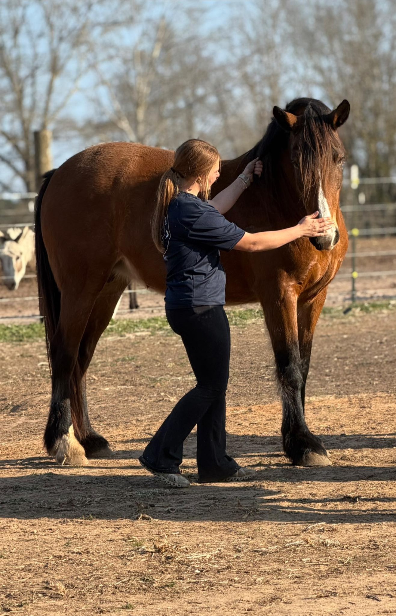 Rocking R Ranch and... - Rocking R Ranch and Rescue, Inc.