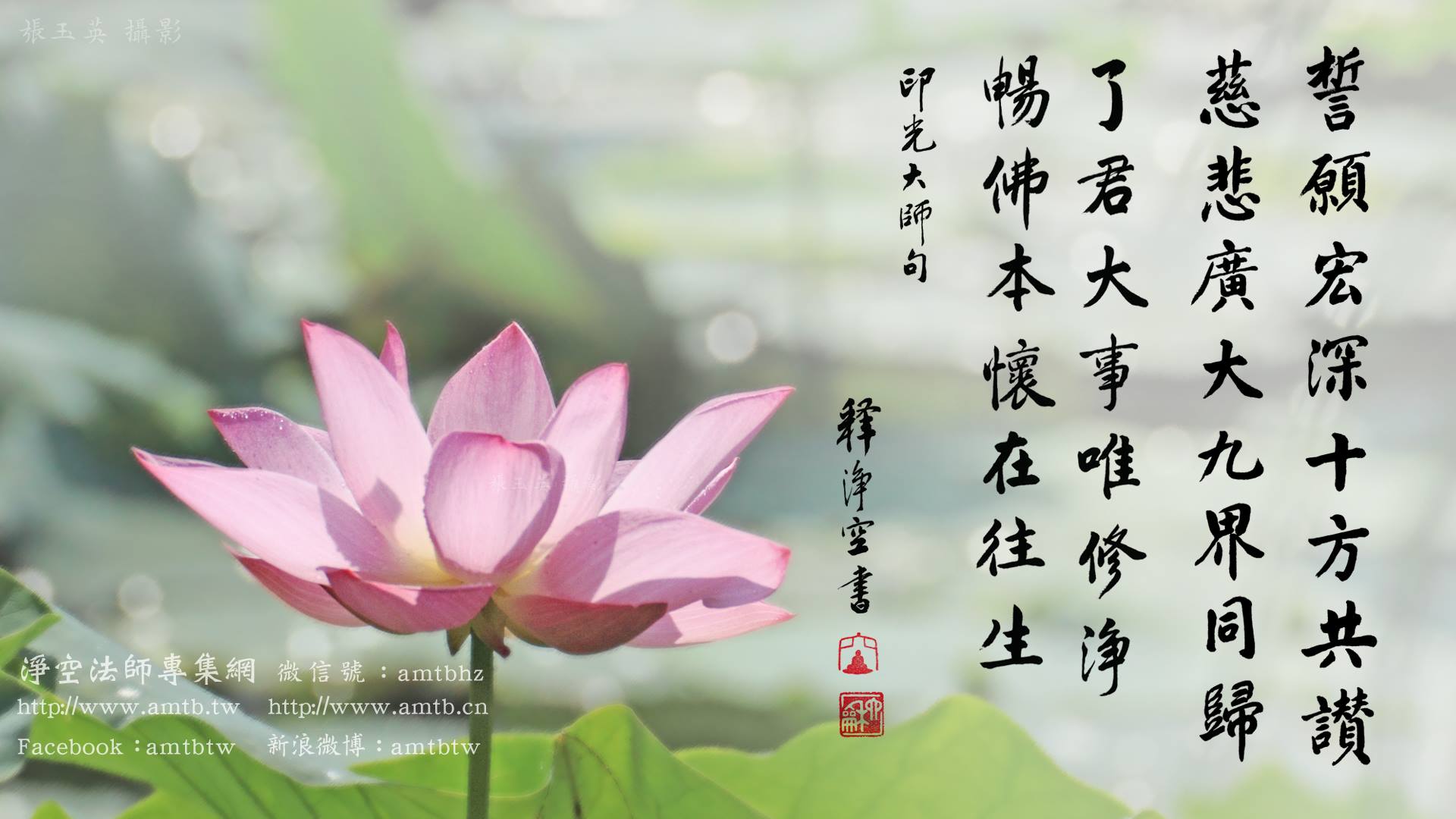 淨空老法師專集網www Amtb Tw 彌陀本意唯願眾生往生淨土 淨空老和尚開示 極樂大士能發如是宏深誓願者 蓋因彌陀本願加威 亦復是本身善隨佛學也 常隨佛學是普賢十大弘願 我們這個世間真有這樣的人 不是不願意成佛 看到眾生太苦 所以他也真念佛 也真往生