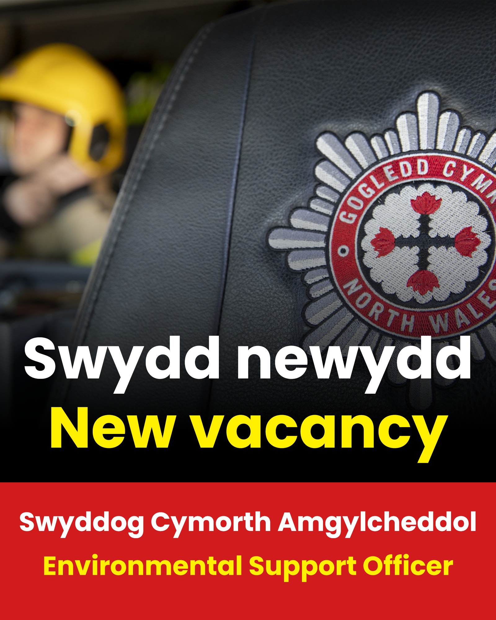 📢 DYDDIAD CAU YFORY! 📢 CLOSING DATE TOMORROW! Mae'r dyddiad cau ar ...