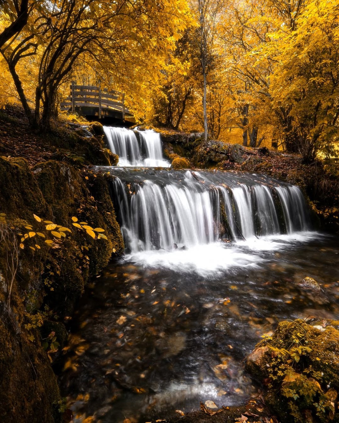 Visit - Il Parco La Sponga a Canistro, uno dei Borghi del Respiro ...