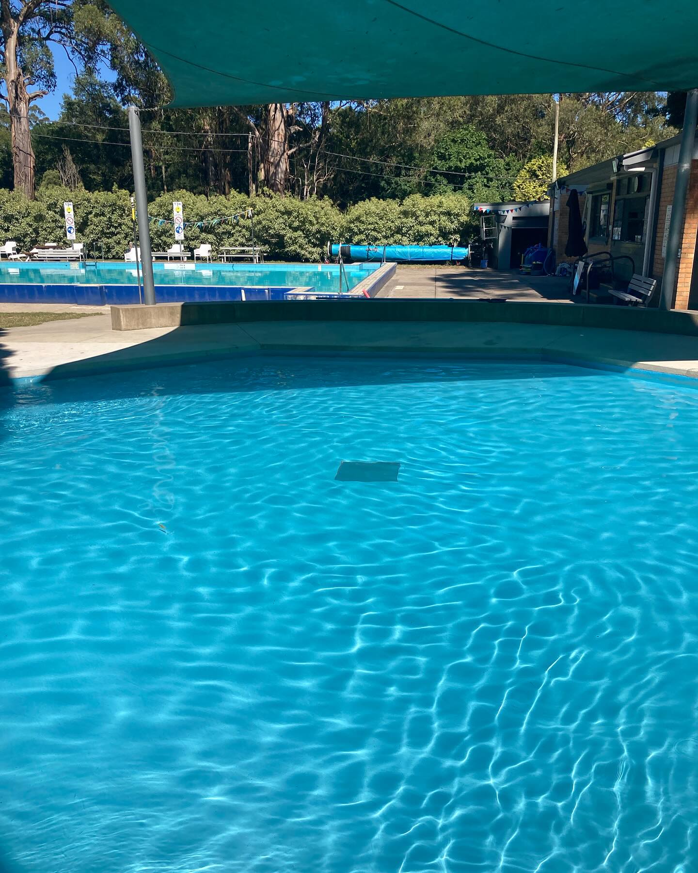 School is back 📚 and so our... - Olinda Community Pool | Facebook