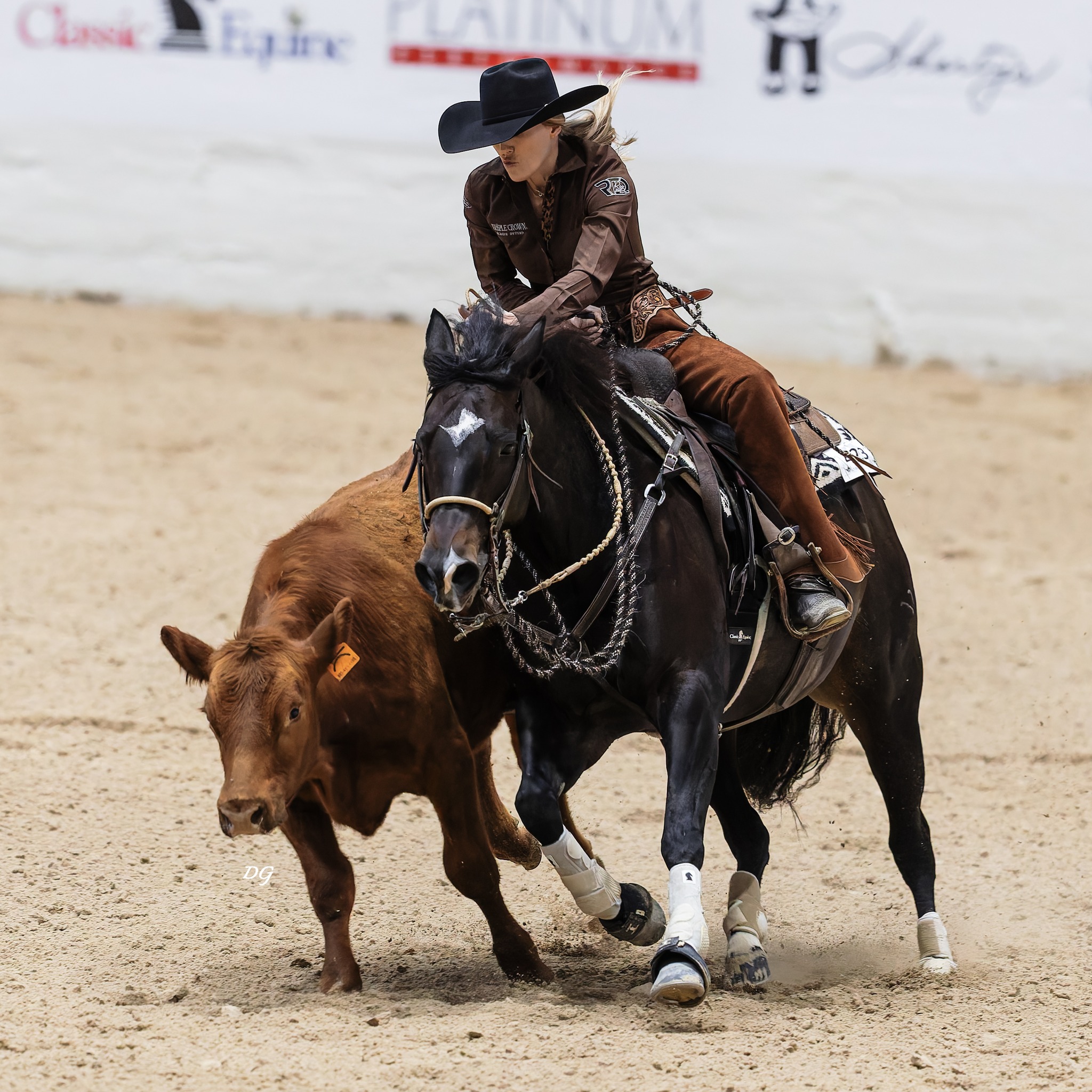 California - At Red Arrow Ranch, their foundation begins with the mares ...