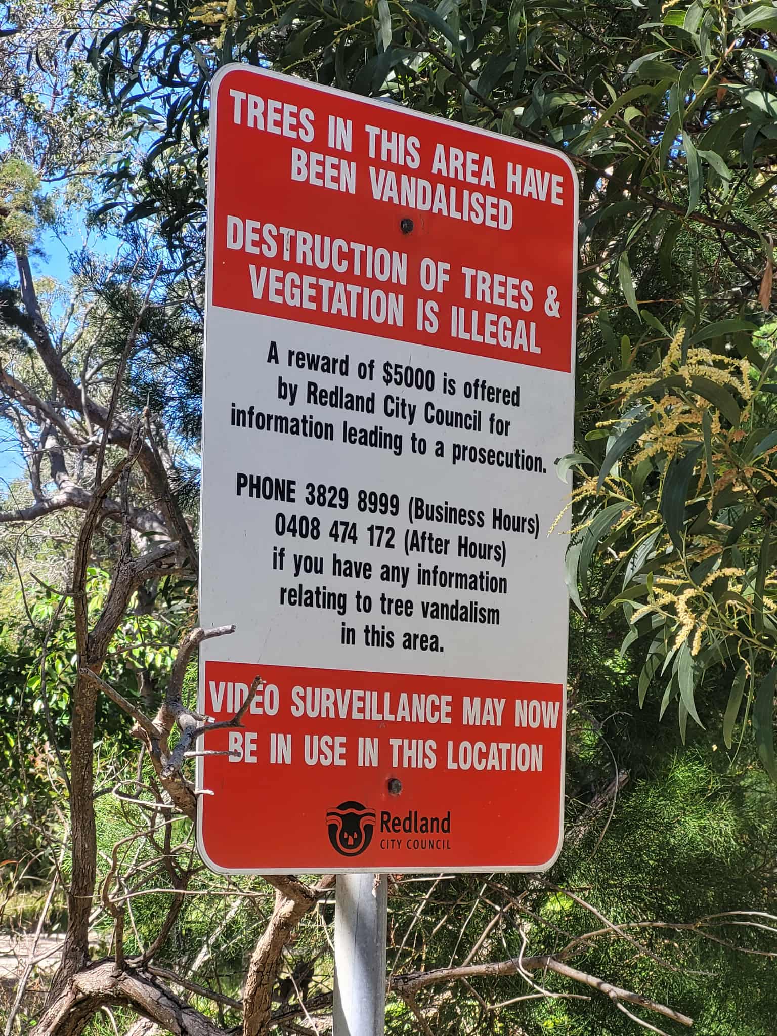 Southern... - Southern Moreton Bay Islands Coastcare Inc.