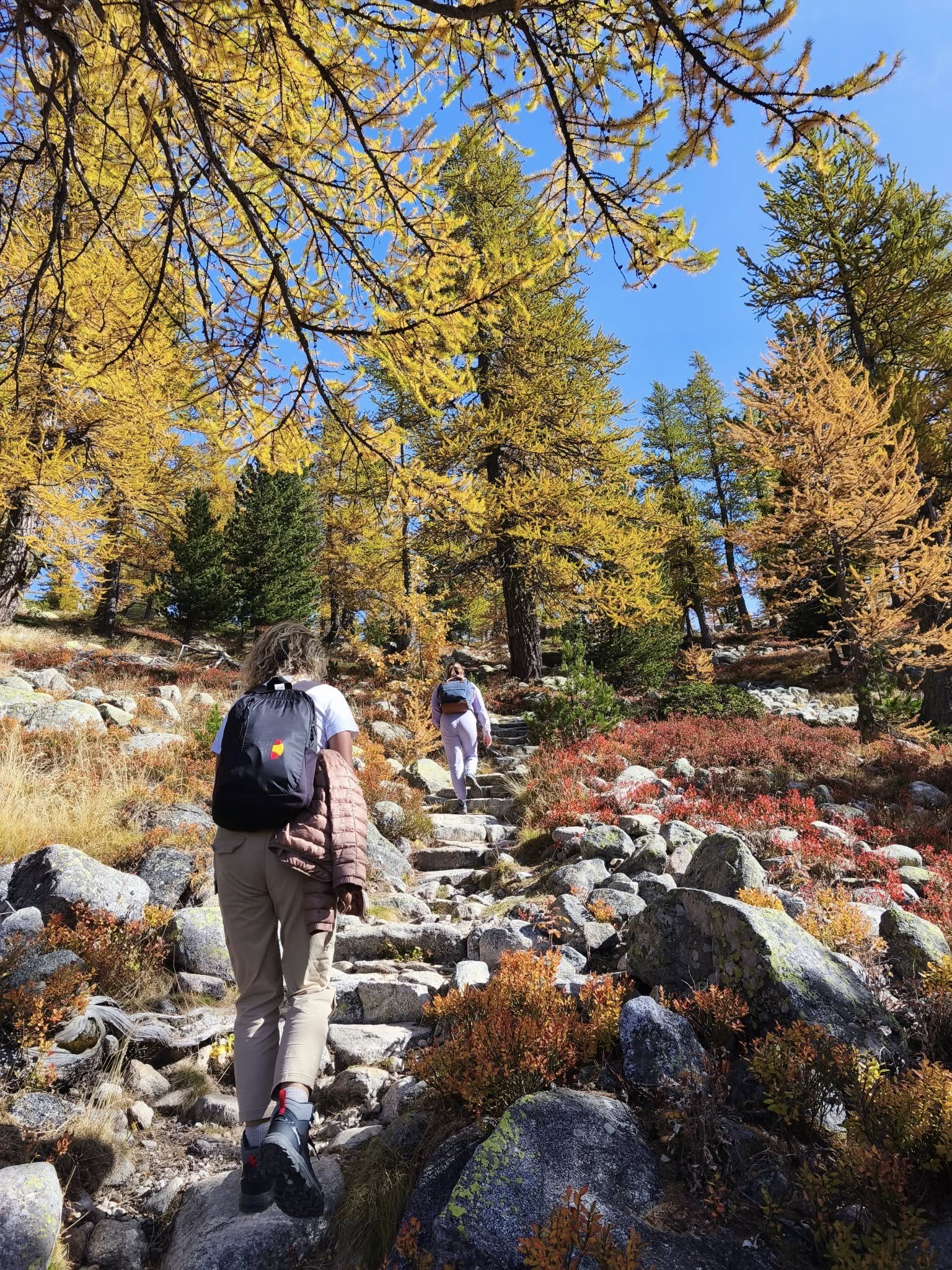 Côte - 🍁 Avez-vous déjà vu la Côte d’Azur sous cet angle ? Des forêts ...