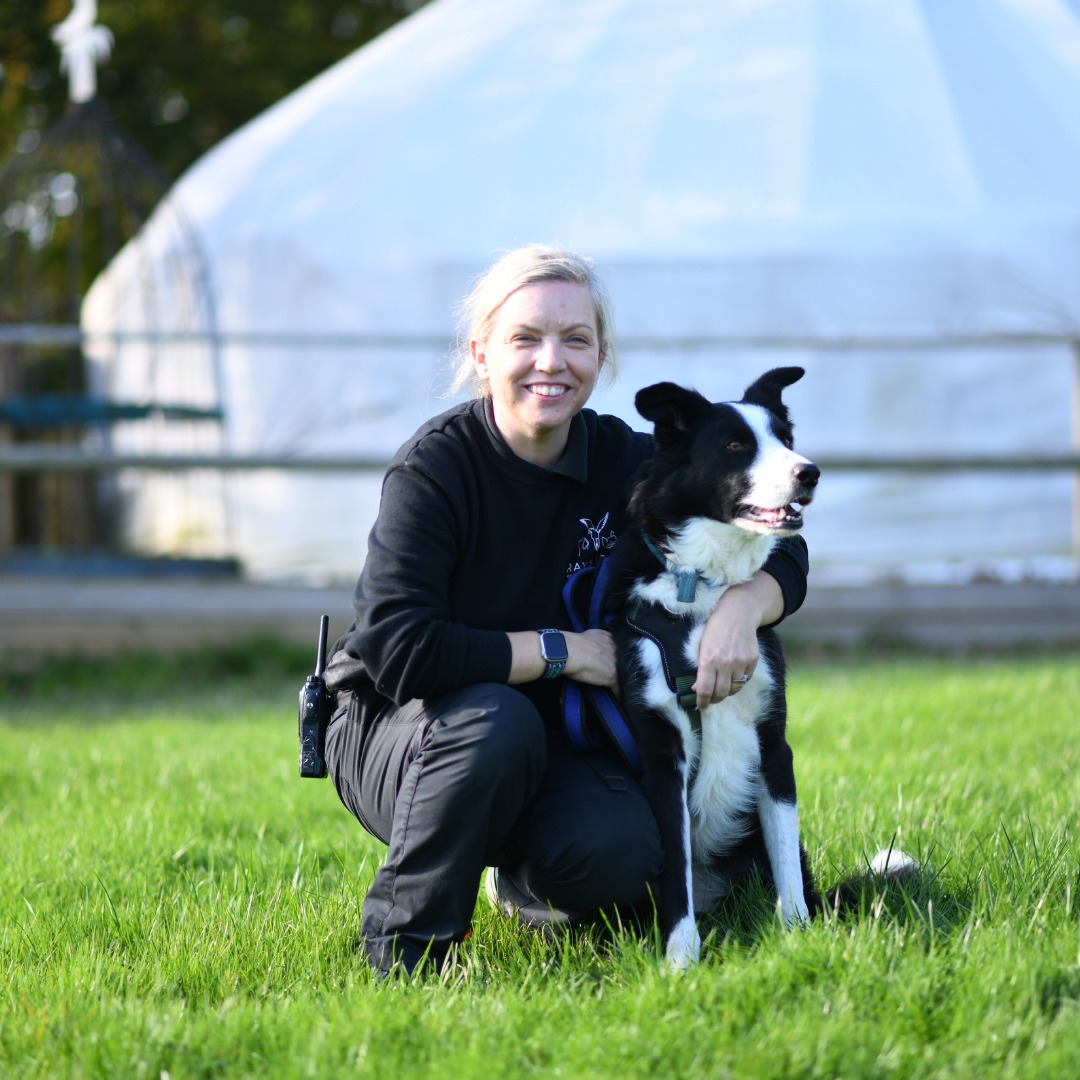 Raystede Centre for Animal Welfare | Lewes