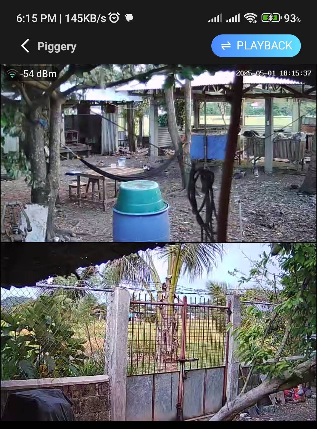 Lizardo Farm | Bayombong