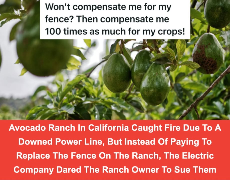 Did You Know - FULL STORY:... | Facebook