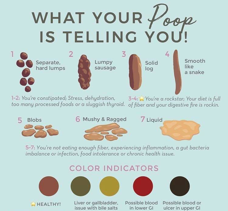 All you CAN eat - It’s Bristol stool chart review day!!...