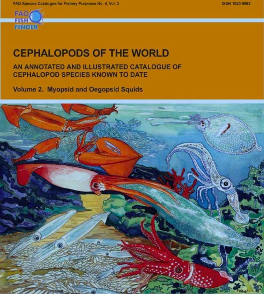 Undersea - World Cephalopod Awareness Days October 8-12, 2025 🦑 🐙 📆 ...