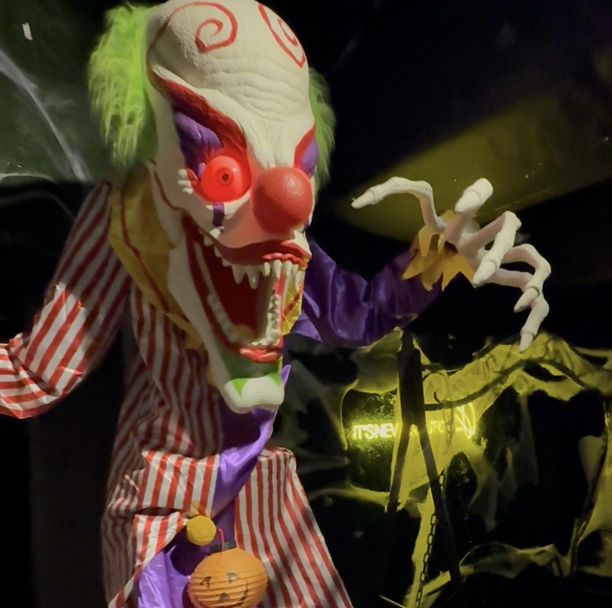 The Rabbit Hole - 🎃 THE NIGHT HAS COME… 👻 Mackay, the... | Facebook