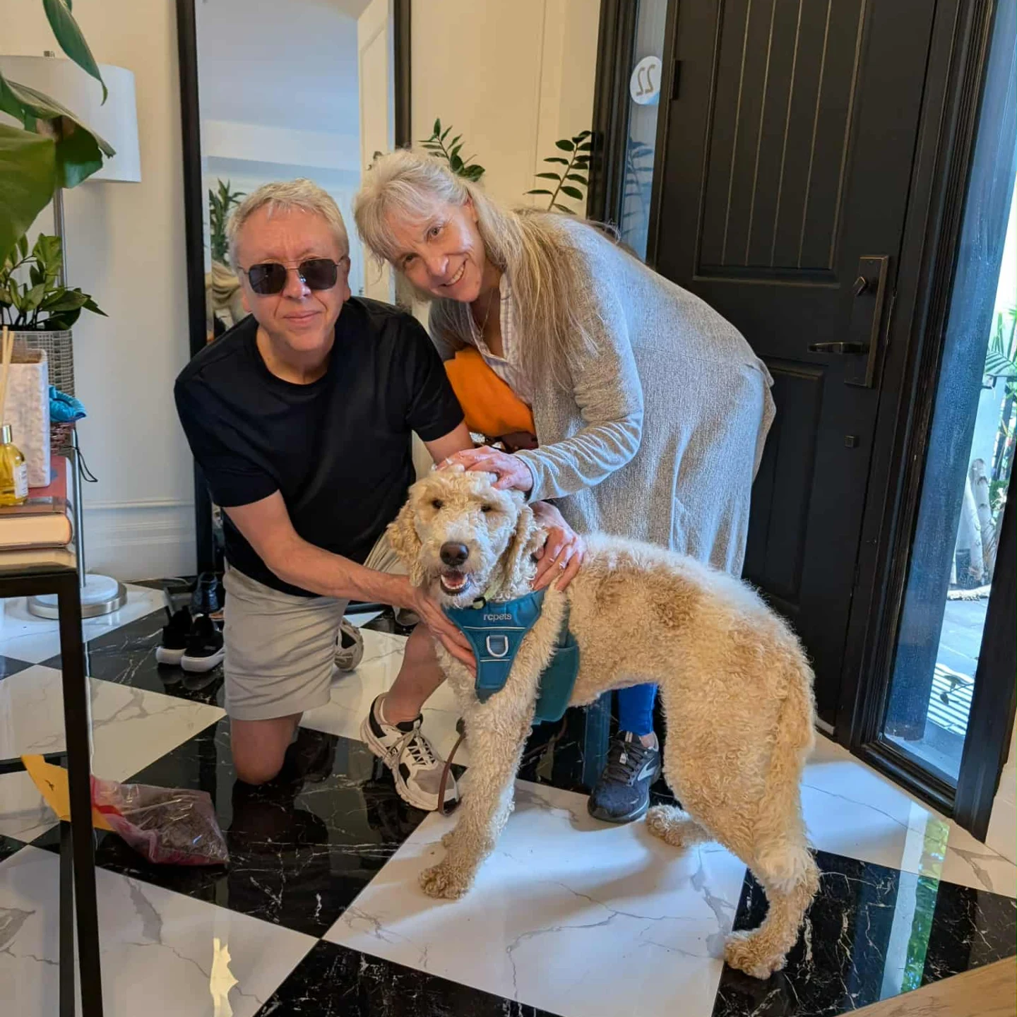 Save - Cassy has been adopted! While her foster family will miss her ...