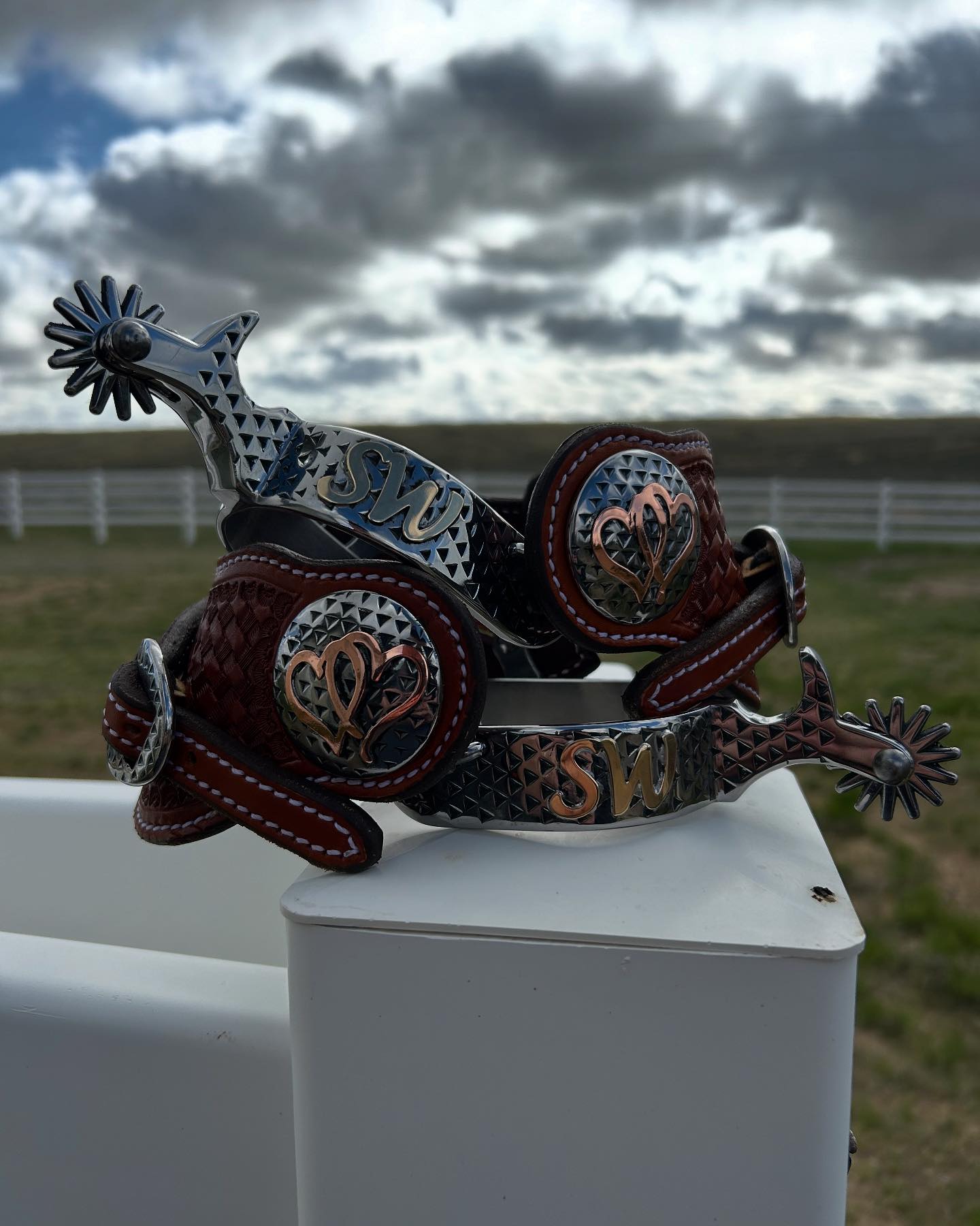 Rasp spurs bits and buckles... - Rasp spurs bits and buckles