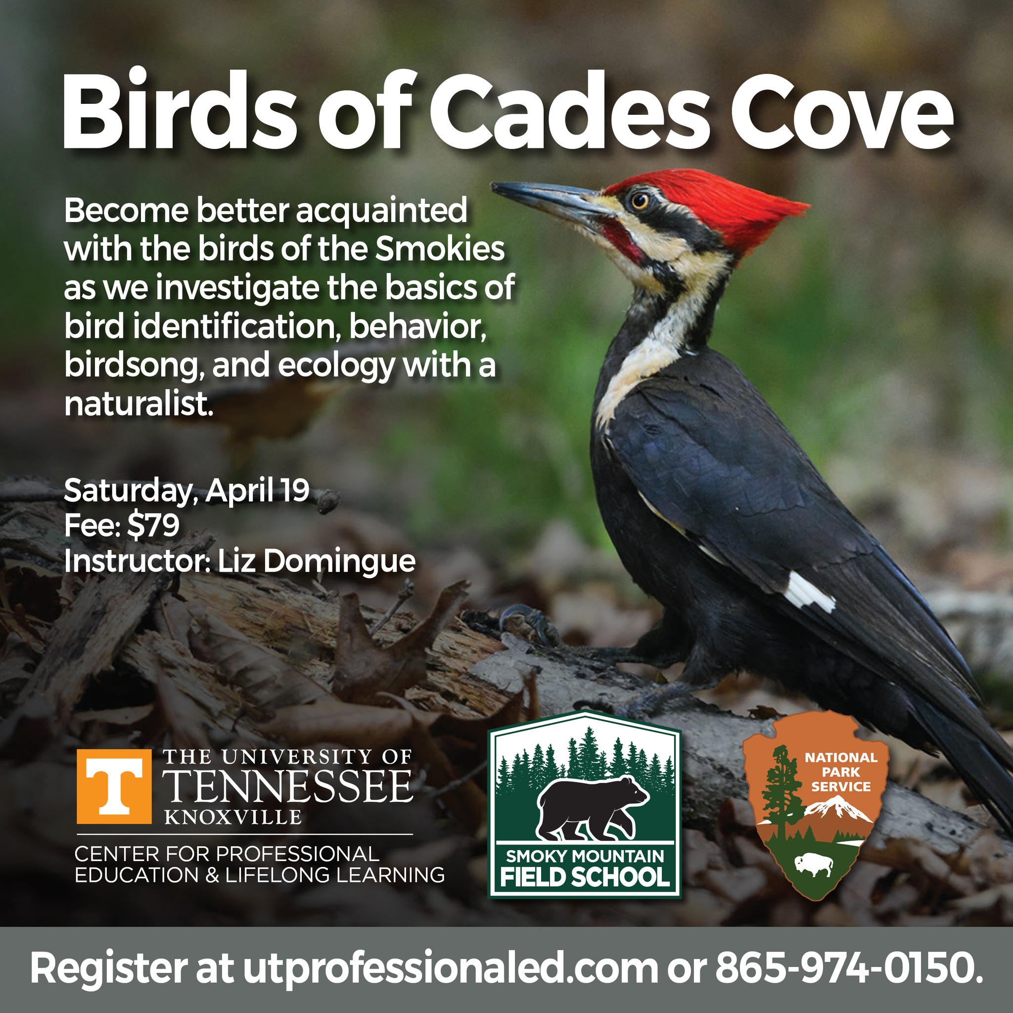 UT - Learn about the tools of the trade, the skills needed to become a ...
