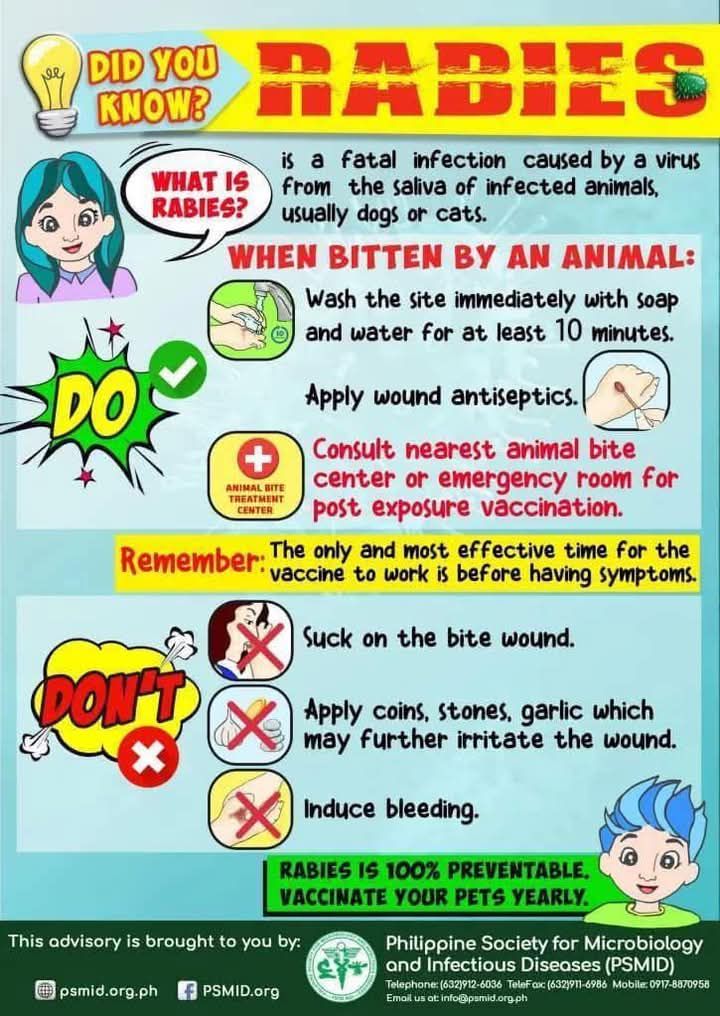 ACSA - Ano nga ba ang rabies? Basahin ang litrato para sa ilang mga ...
