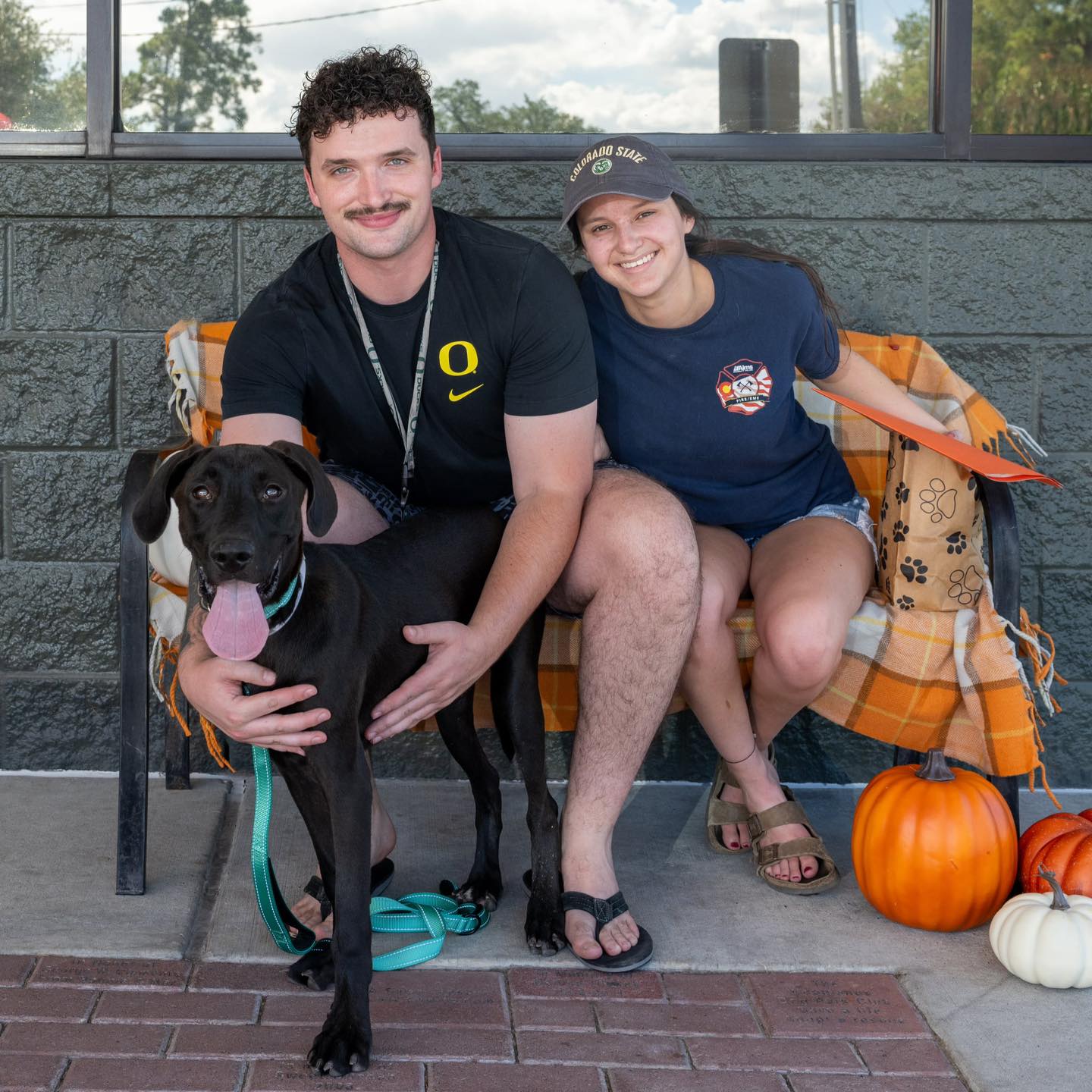 Montgomery County... - Montgomery County Animal Shelter Texas