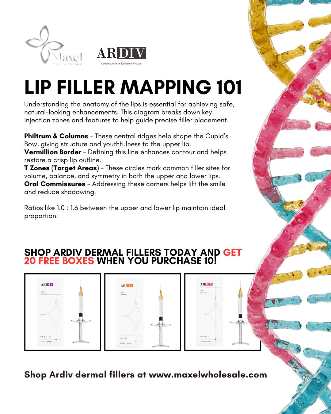 Maxel - Lip Filler Mapping 101 Master the art of lip mapping using ...