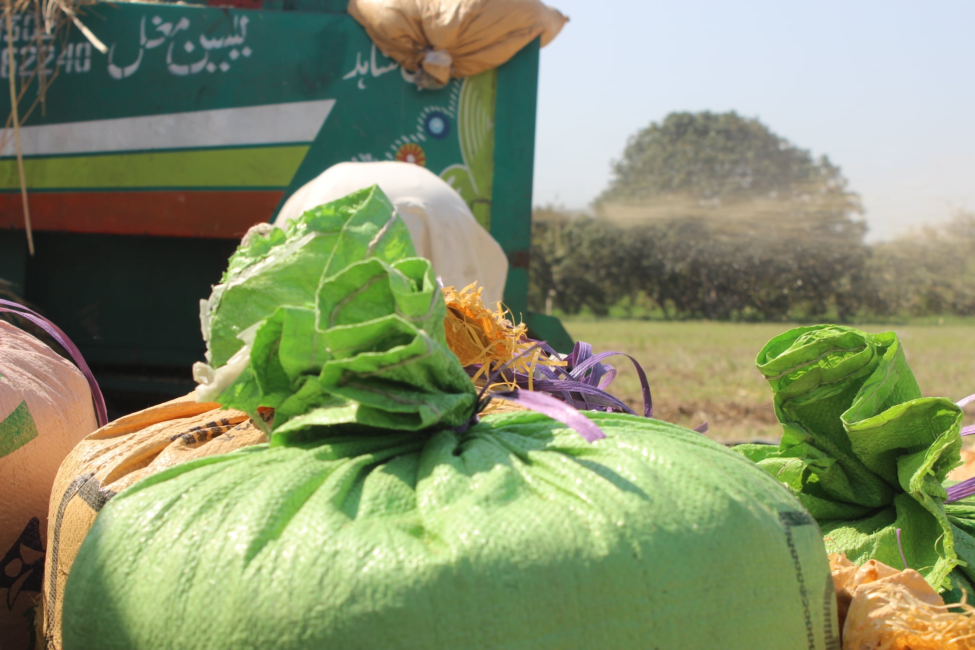 Zaib Agri Farm | Kassowal