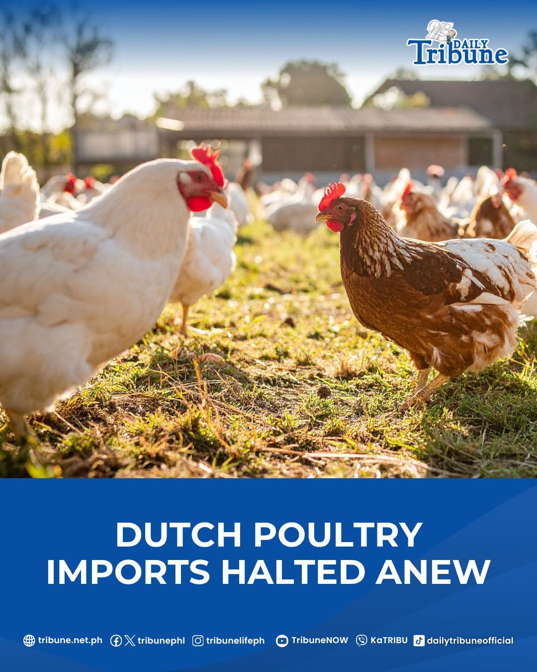 Daily Tribune - The Department of Agriculture (DA) has... | Facebook