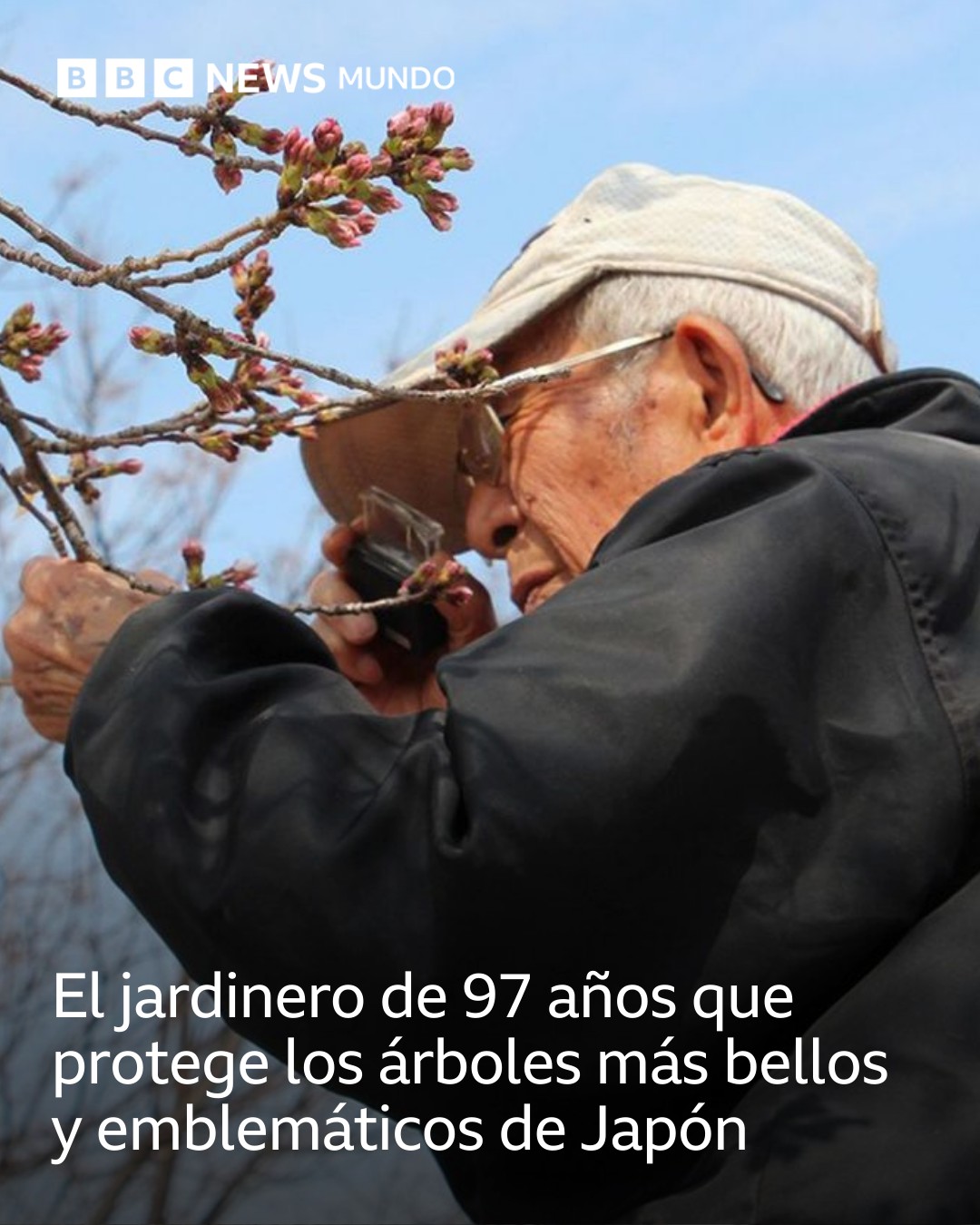 BBC News Mundo - Tōemon Sano es uno de los sakuramori más... | Facebook
