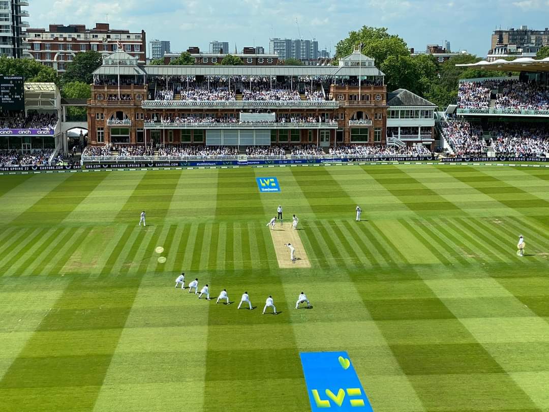 Piplan cricket
