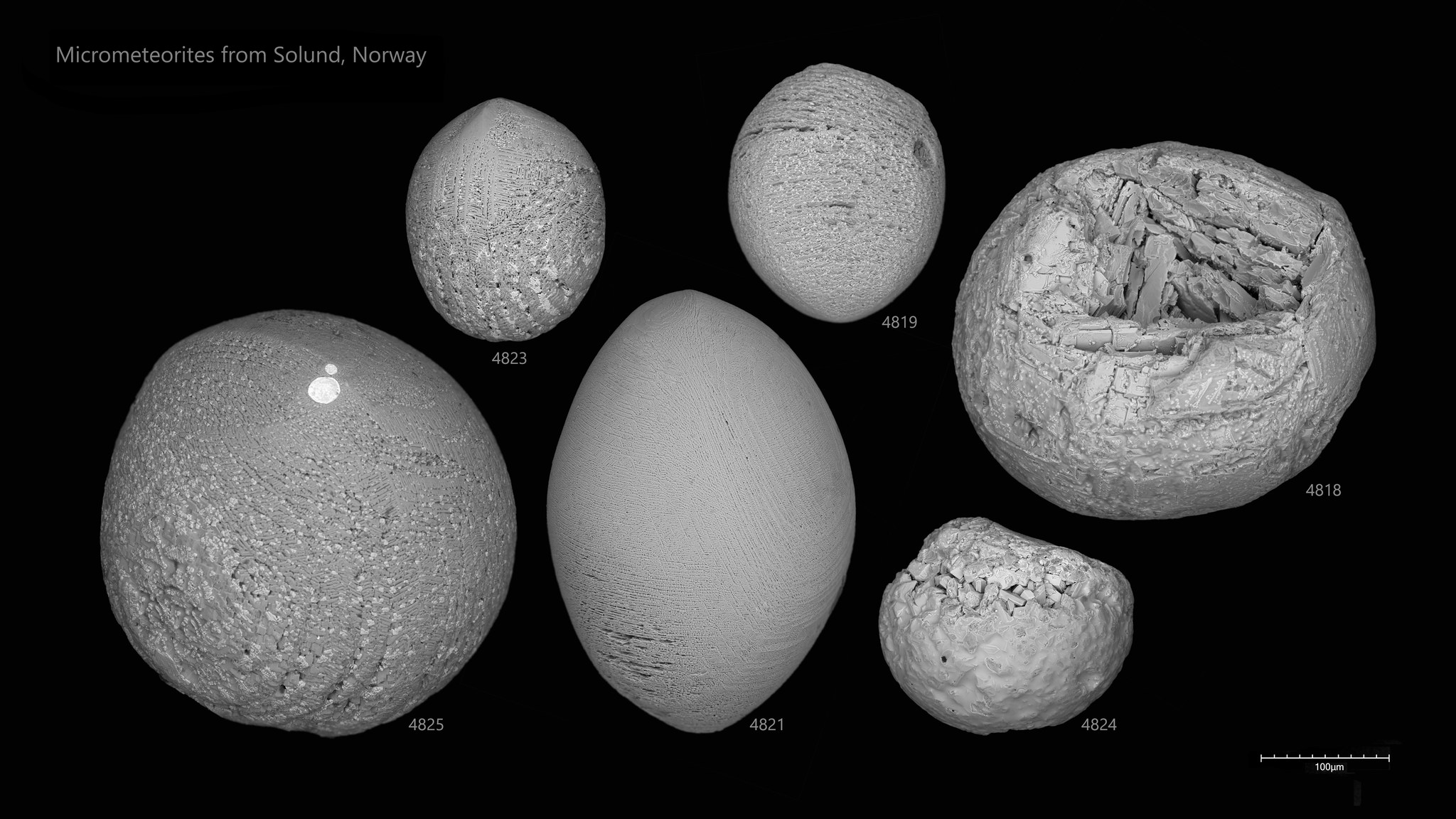 Project - It is Micrometeorites-in-SEM Month at Project Stardust ...