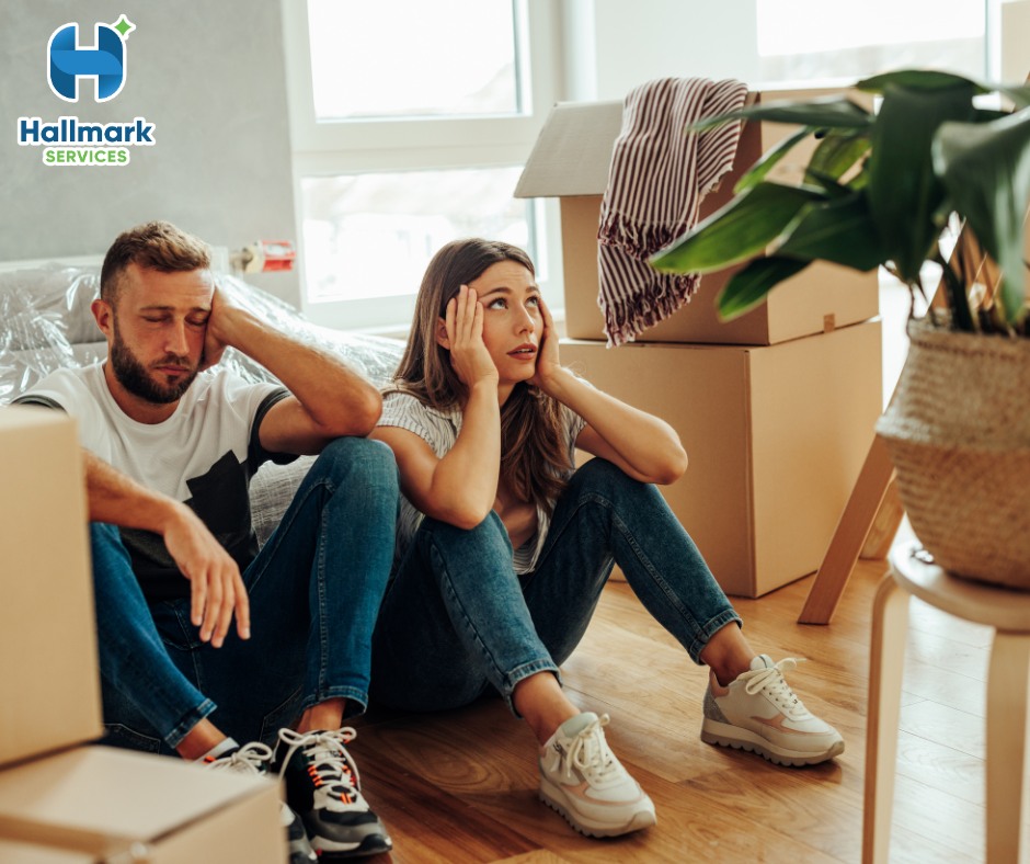 Hallmark Services Carpet Cleaning Waikato | Frankton