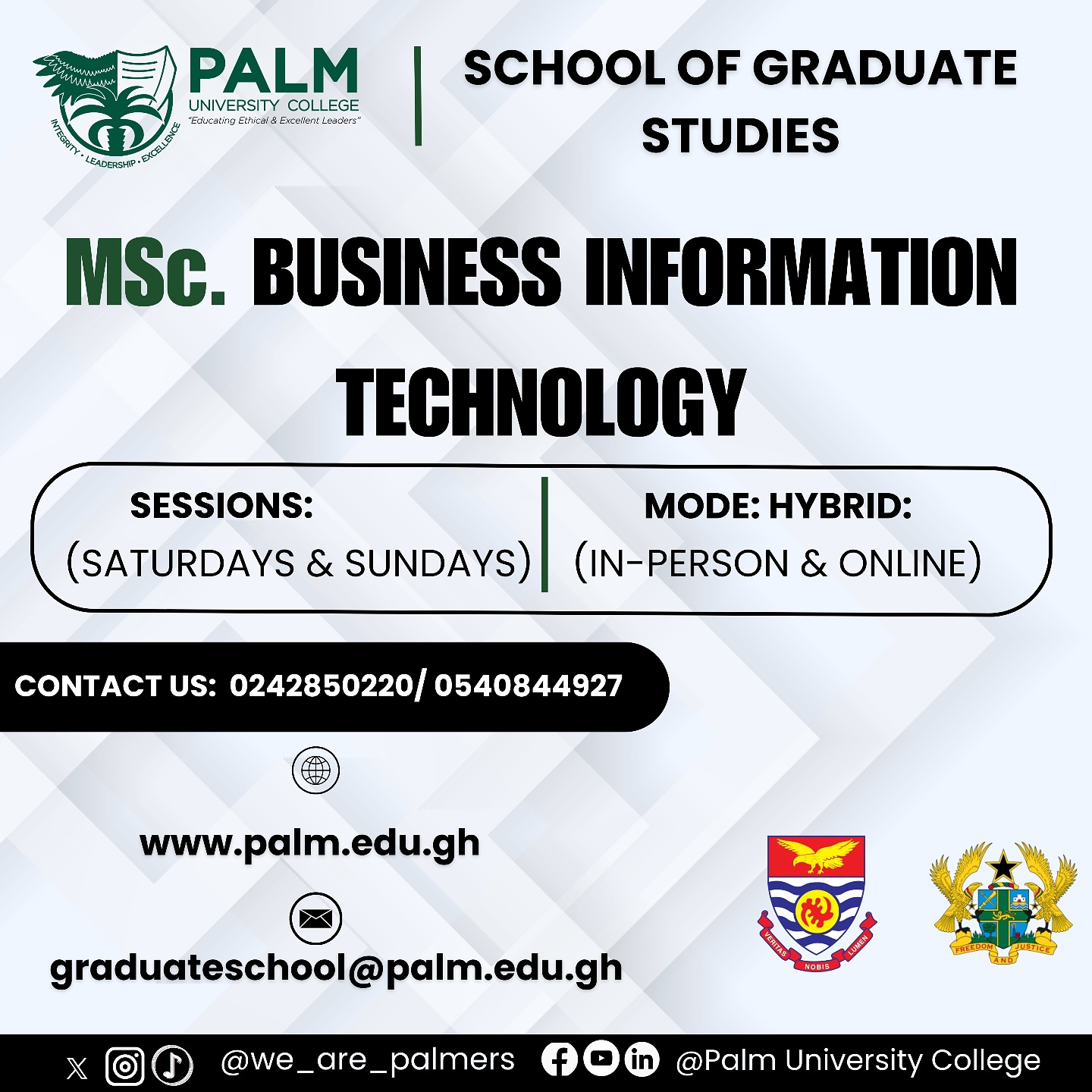 Palm - Experience the transformative power of technology in business ...